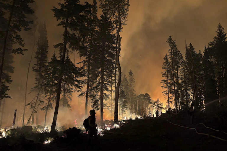 Firefighters and pine trees silhouetted against the orange glow of a fire and flames on a hillside.