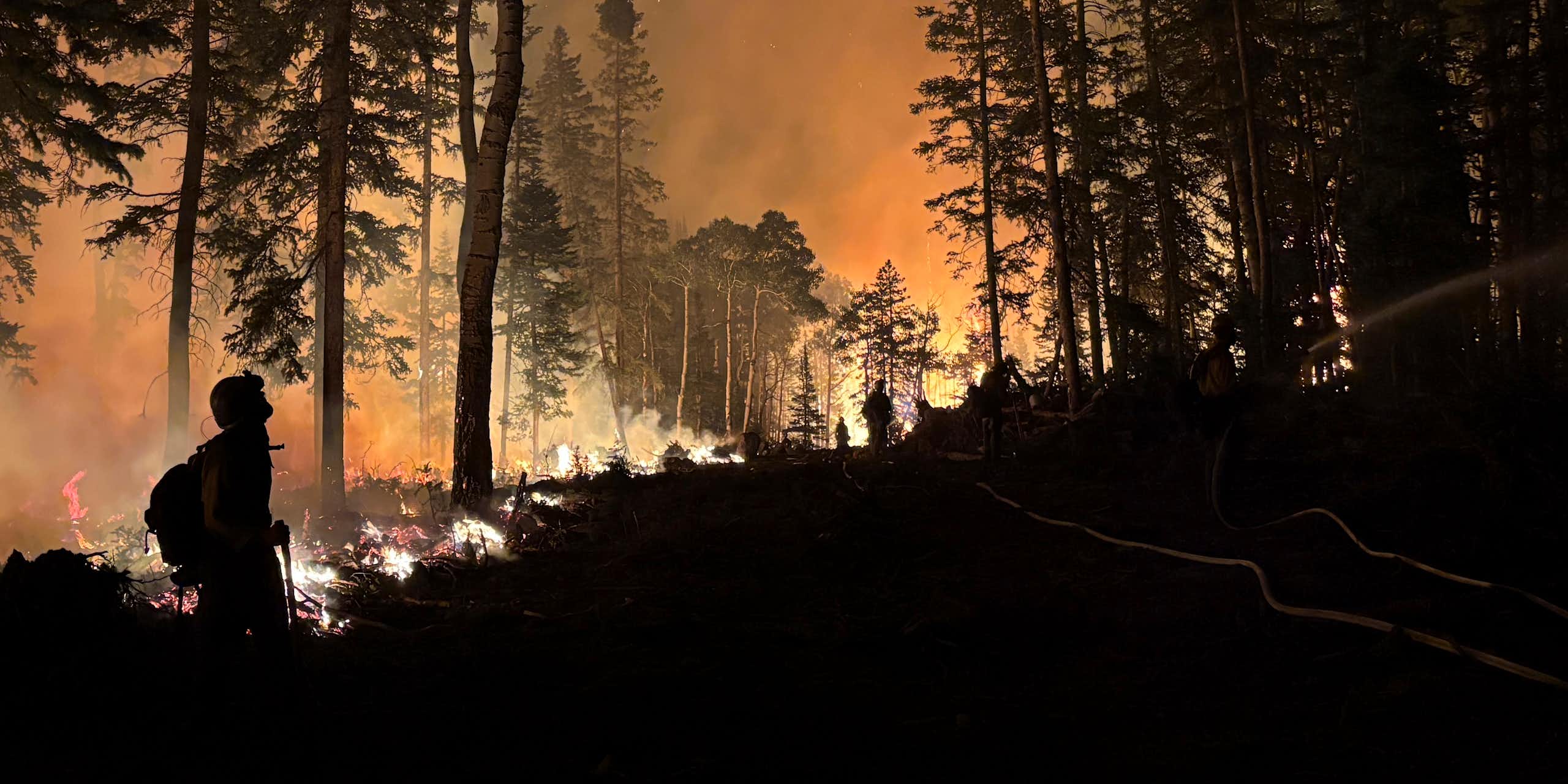 Firefighters and pine trees silhouetted against the orange glow of a fire and flames on a hillside.