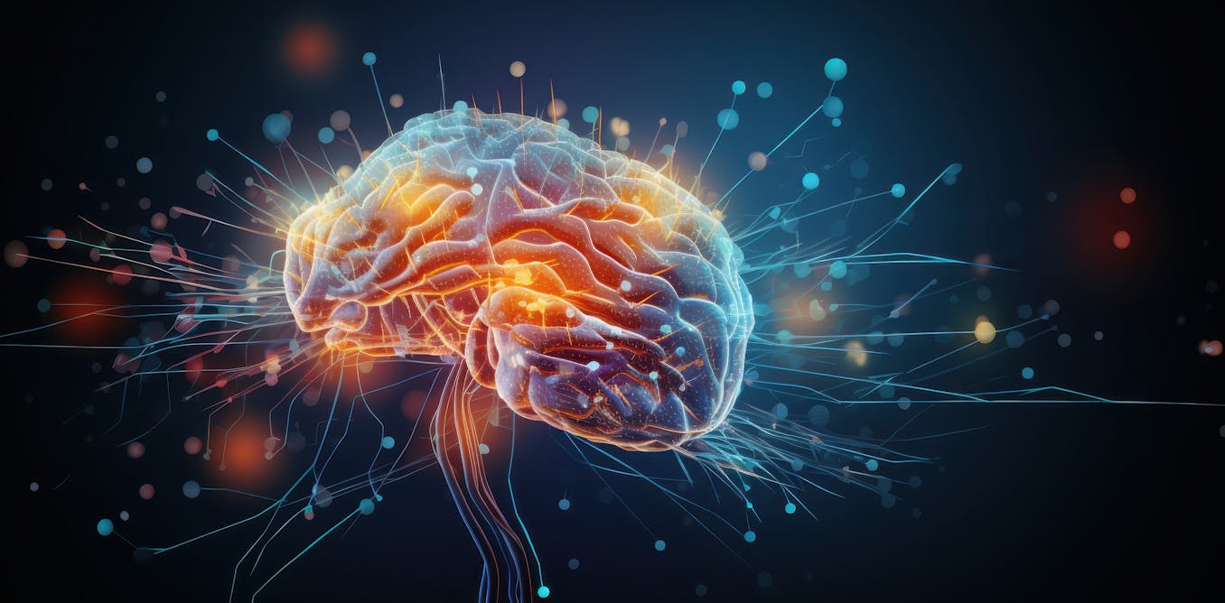 El primer mapa global de la actividad cerebral revela que no hay centro de mando en las decisiones