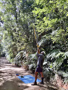 A man points a giant slingshot at the canopy