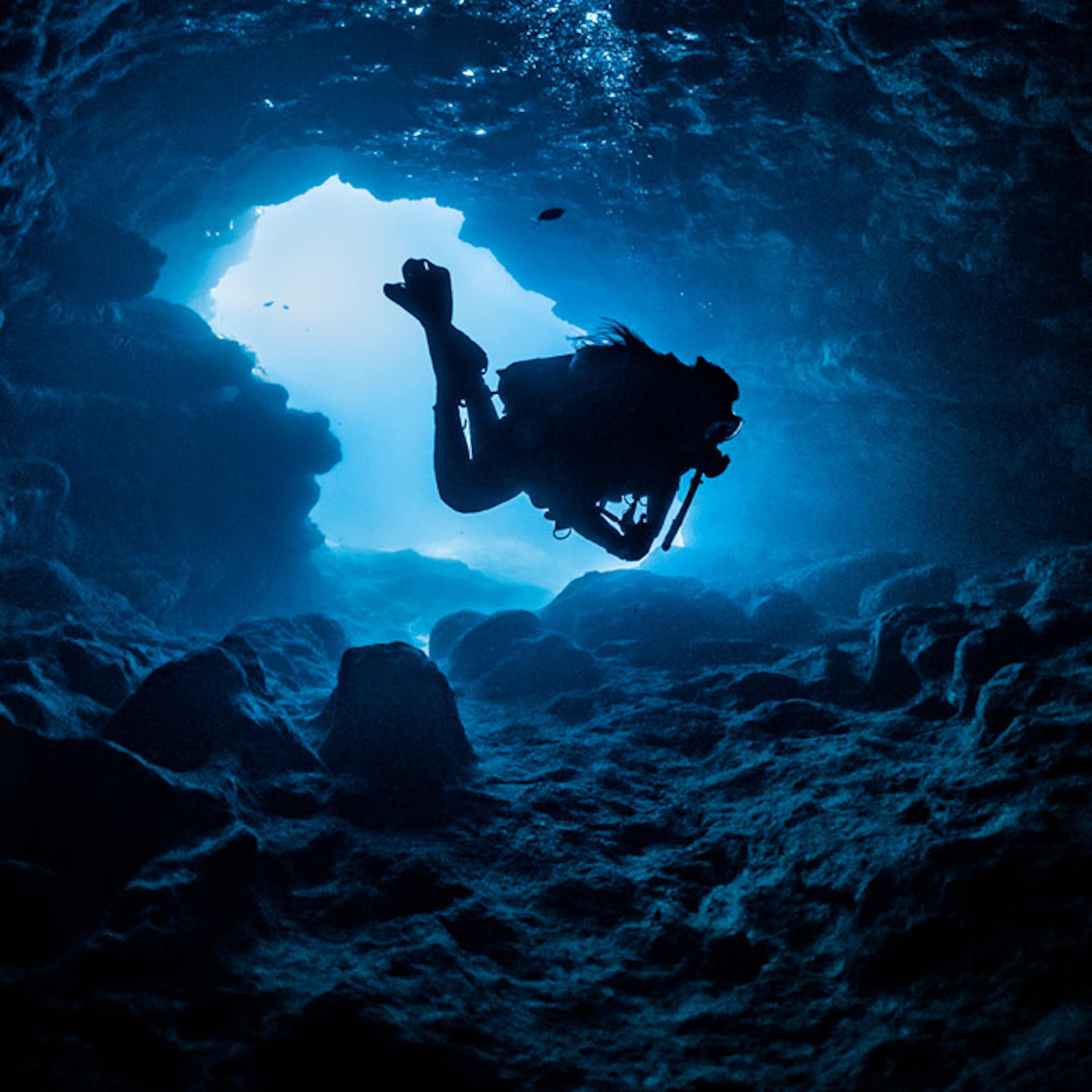 Mengungkap misteri laut dalam Indonesia yang kaya akan mikroba ajaib