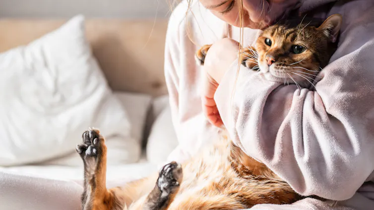 What Owning a Cat Really Does to Your Brain 13 file 20250904 56 c92y78.jpg?ixlib=rb 4.1 - BabyYumYum