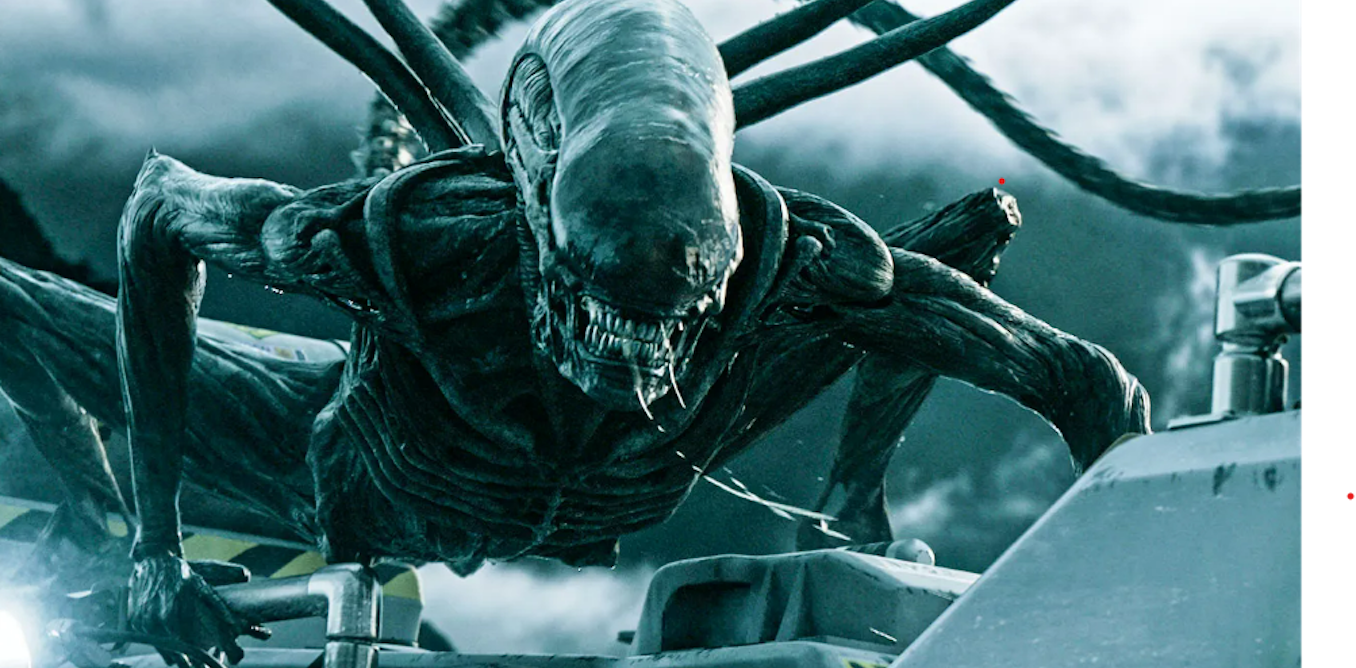 ‘Fungi ficción’: por qué los hongos son los nuevos extraterrestres en la ciencia