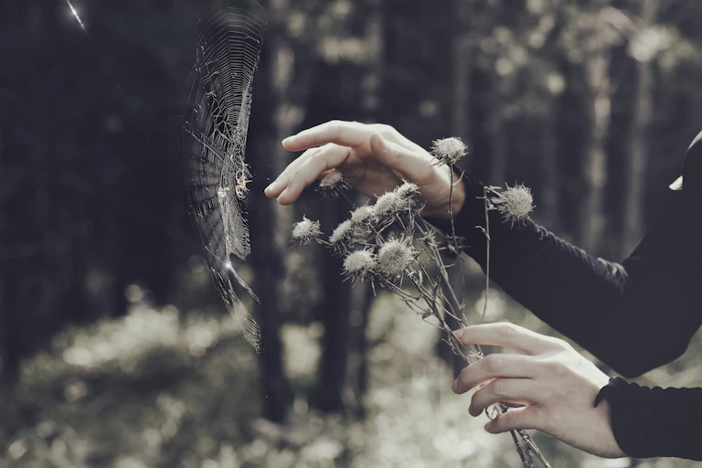 with a spider in the black forest, woman holds a thistle.