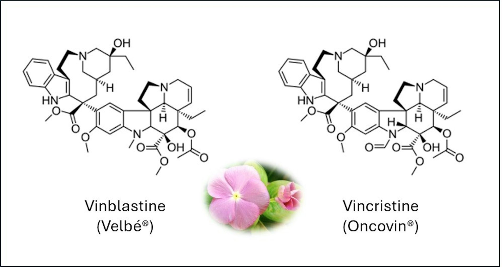 file 20250905 67 ac55jd.jpg?ixlib=rb 4.1