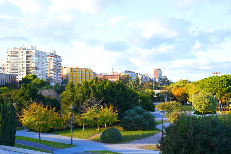 Árboles en un parque y edificios de fondo