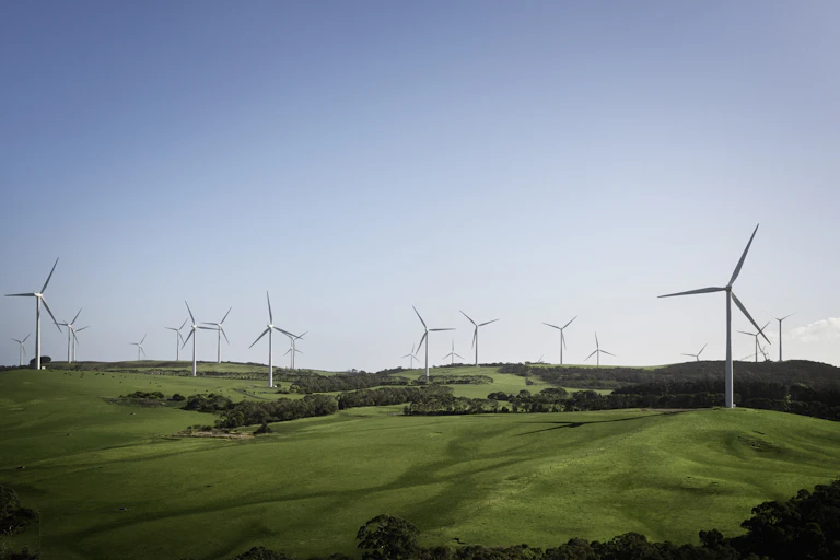a field of wind turbines and shrubs and grass.