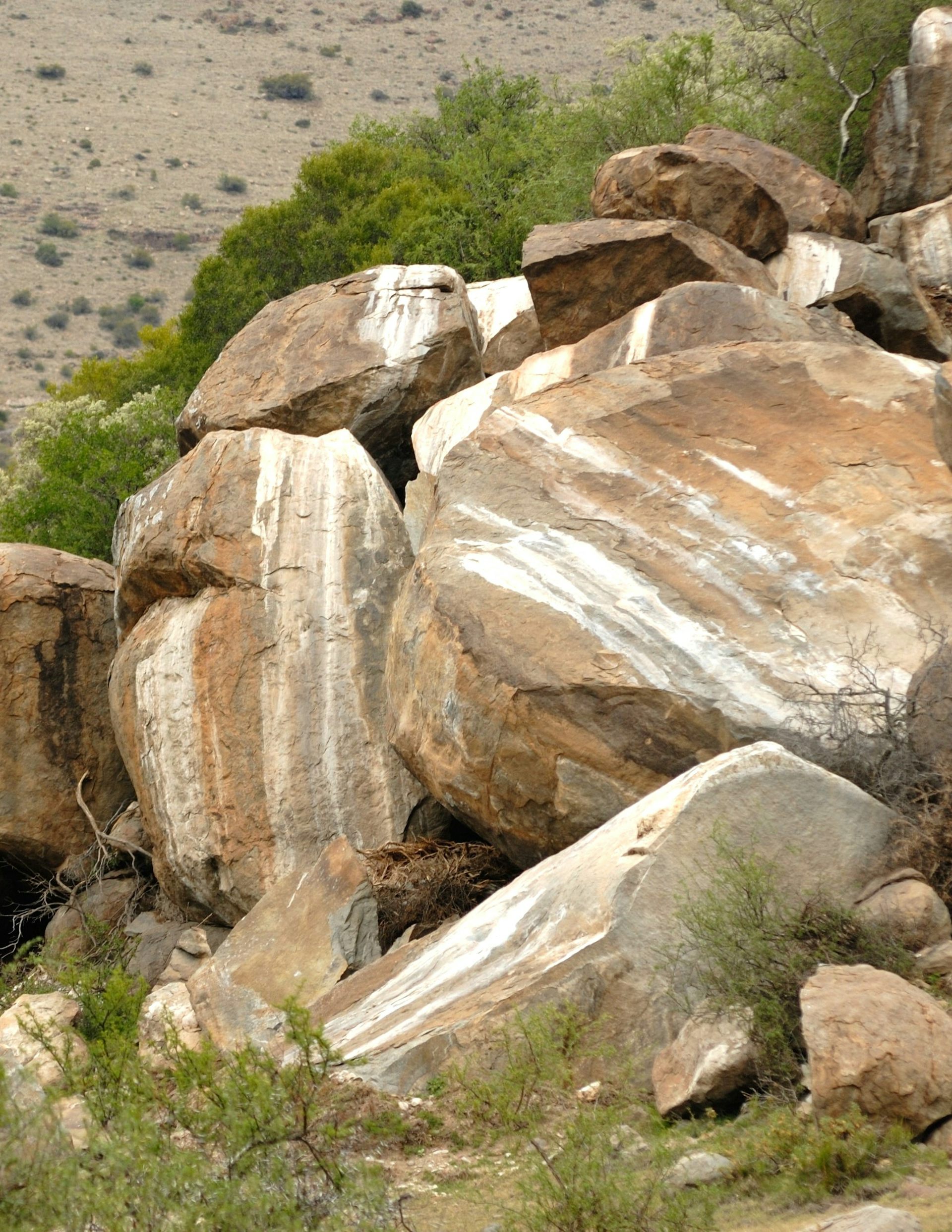 Rocks with white markings