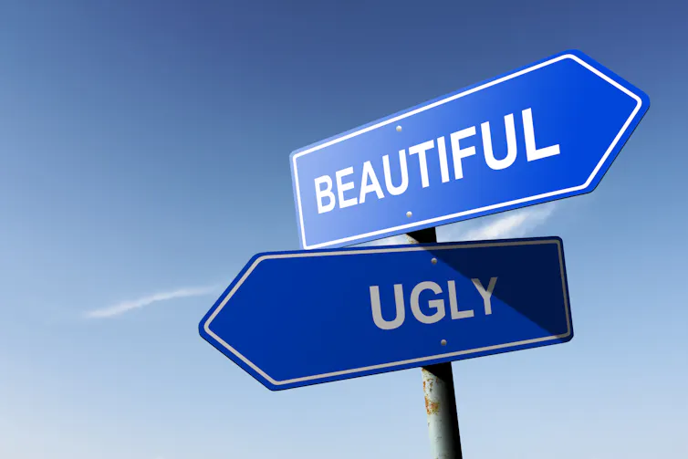 Not Beautiful Example Not everyone is beautiful