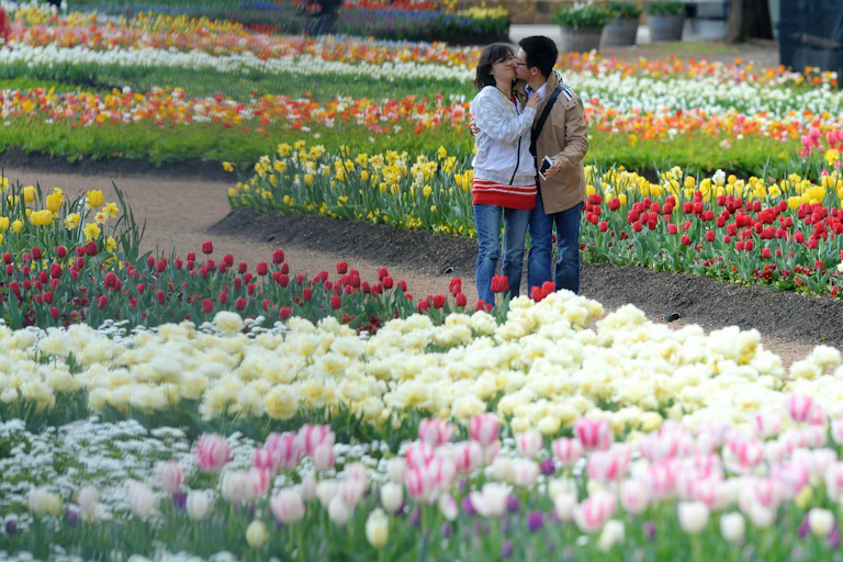 A couple embrace walking past a bed of flowers.