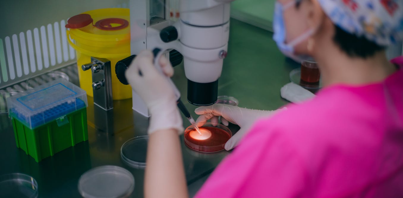 Pruebas genéticas en reproducción asistida: entre las promesas de salud y el ‘marketing’ dudoso