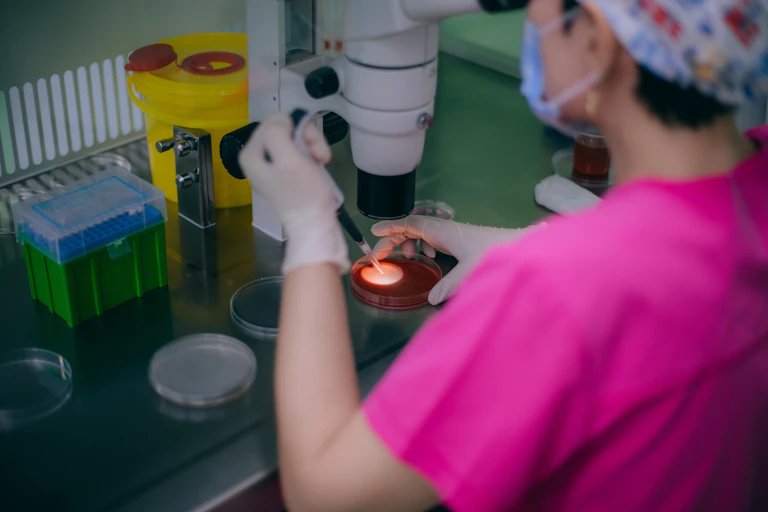 Proceso de fecundación in vitro en un laboratorio.