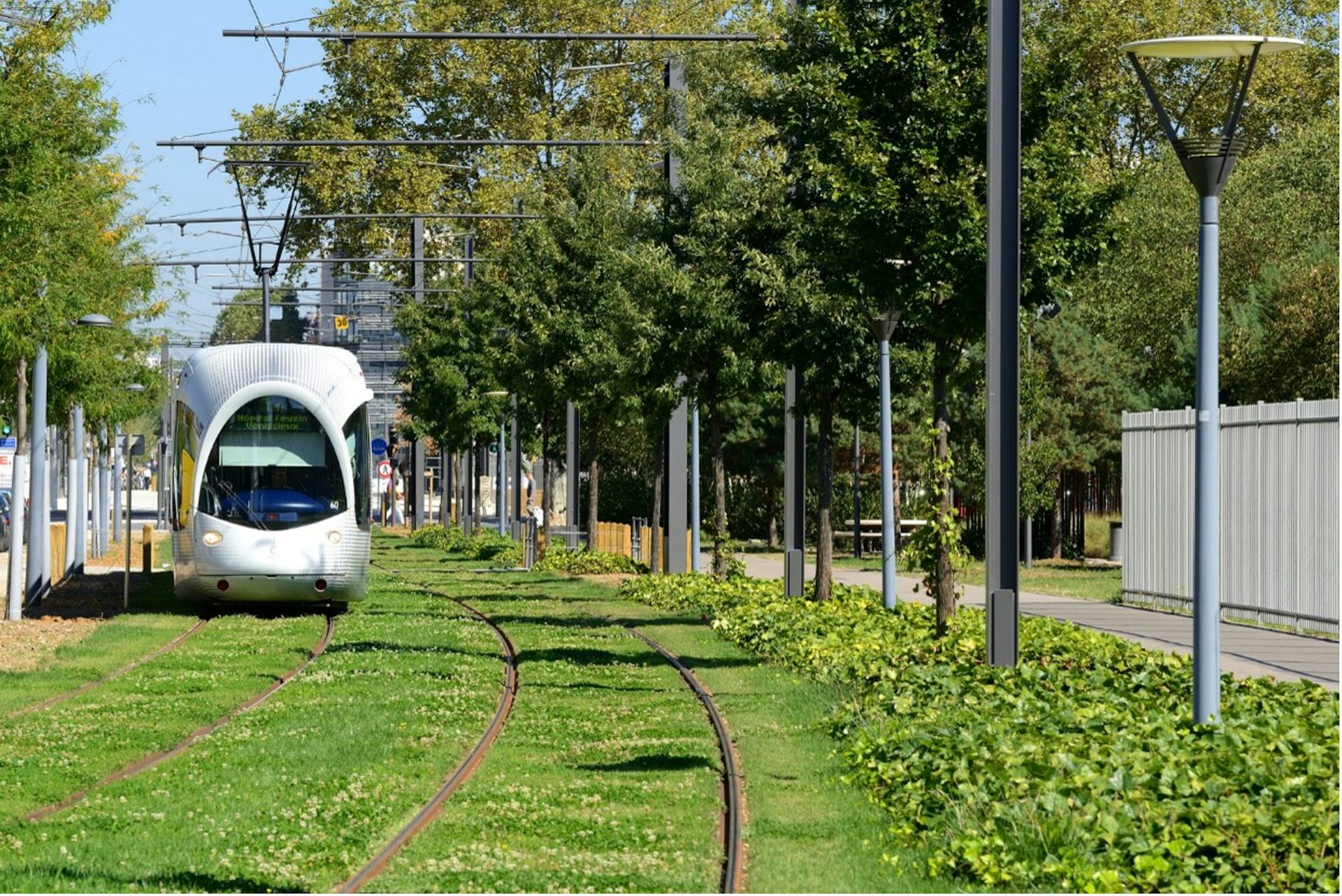 Les citadins sont-ils prêts à réduire la place de la voiture pour végétaliser la ville ?