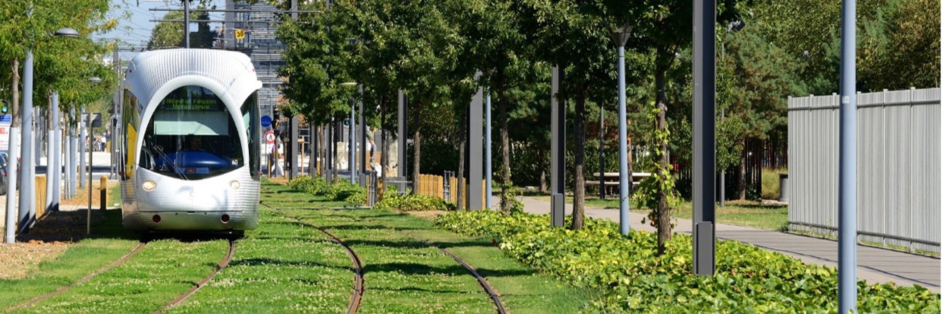 Les citadins sont-ils prêts à réduire la place de la voiture pour végétaliser la ville ?