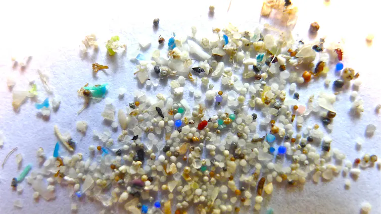 Solving the world’s microplastics problem