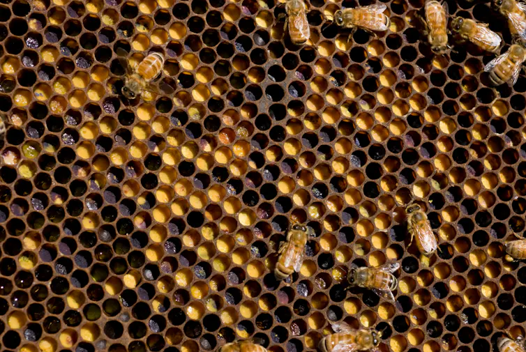 A brown and yellow beehive.