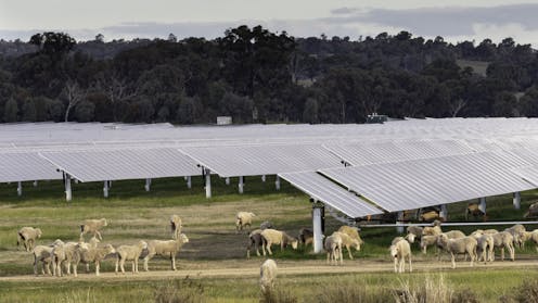 Battle for the bush? Ignore the noise – most farmers like renewables