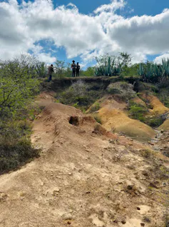 Giant gullies of brown sand where the soil has eroded, eating into an otherwise green landscape.