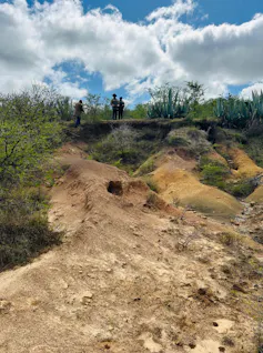 Giant gullies of brown sand where the soil has eroded, eating into an otherwise green landscape.