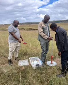 Three people stand outside in brownish grass on a huge open grassland measuring and taking samples of the grass and soil.