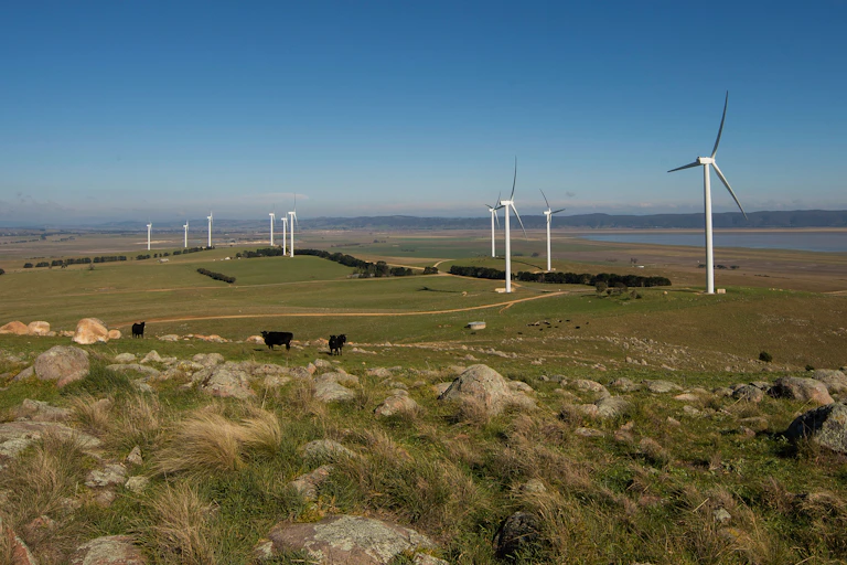 Wind turbines in a rural landscape