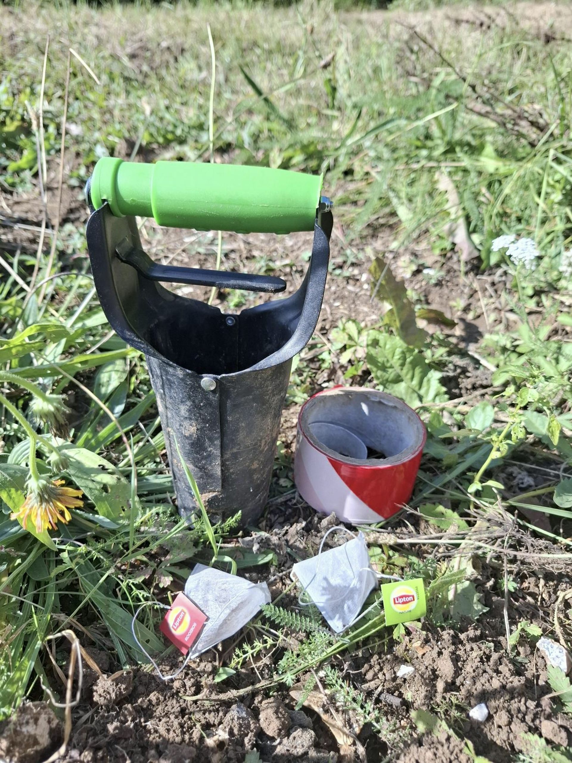 file 20250910 56 fo3ar4.jpg?ixlib=rb 4.1