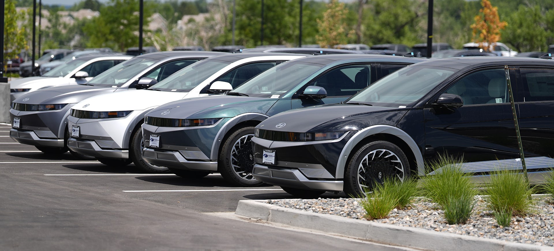 Des voitures électriques en vente chez un concessionnaire