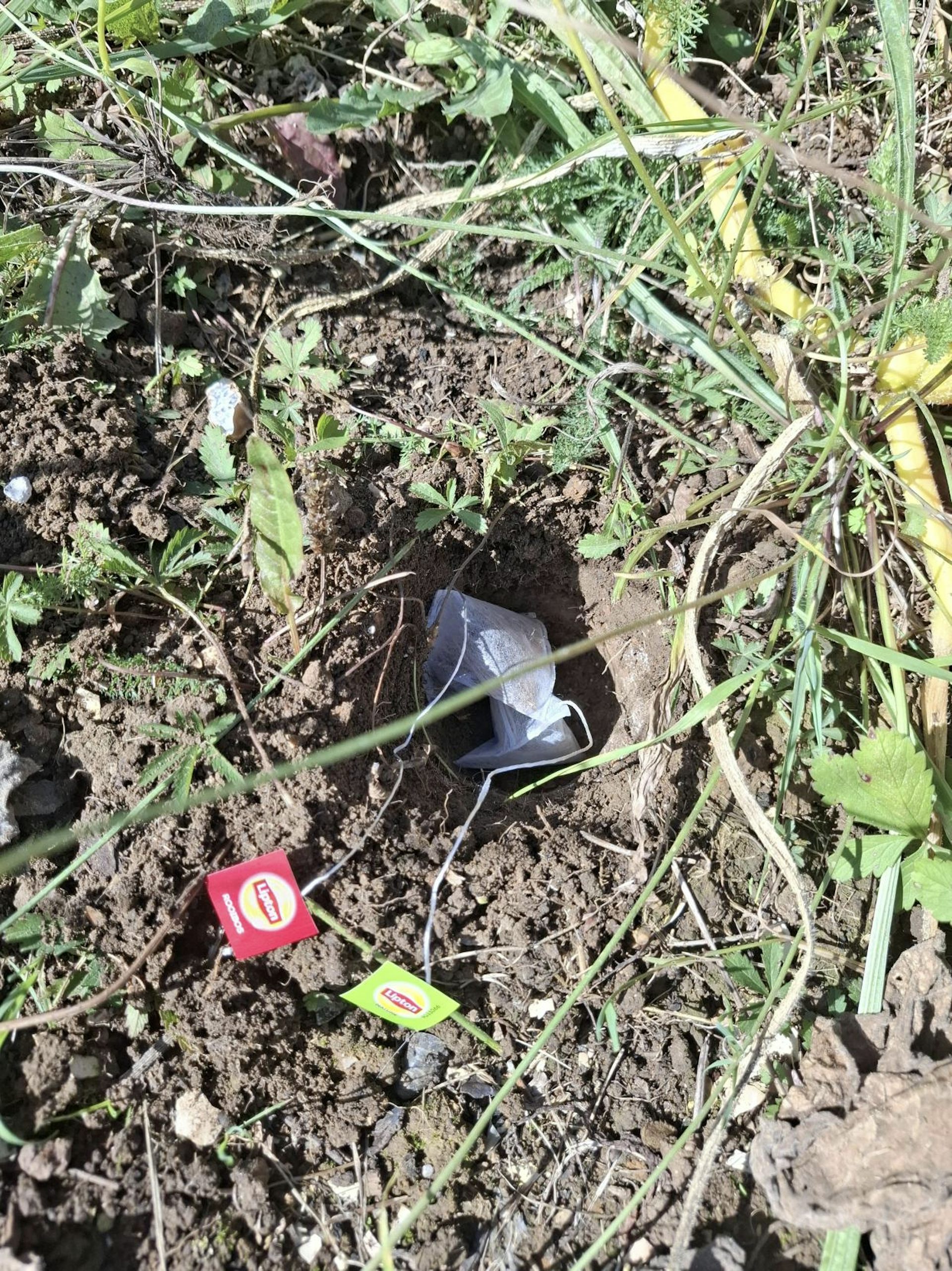 file 20250910 64 w7w078.jpg?ixlib=rb 4.1