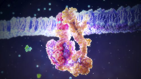Molecular ‘fossils’ offer microscopic clues to the origins of life – but they take care to interpret