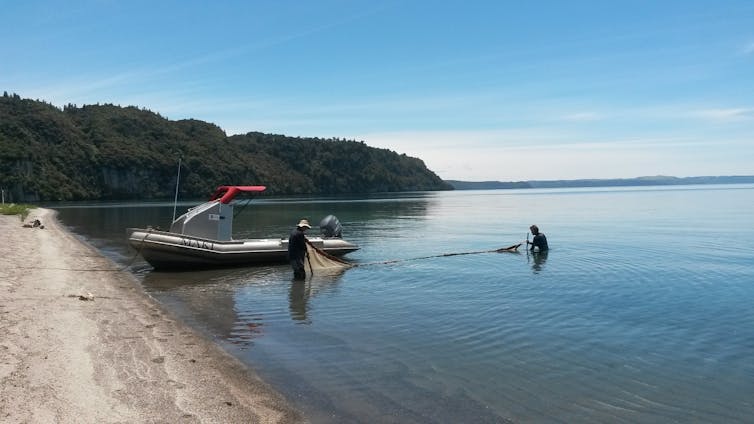An inflatable boat at a lake shore, with two people sampling with a net.
