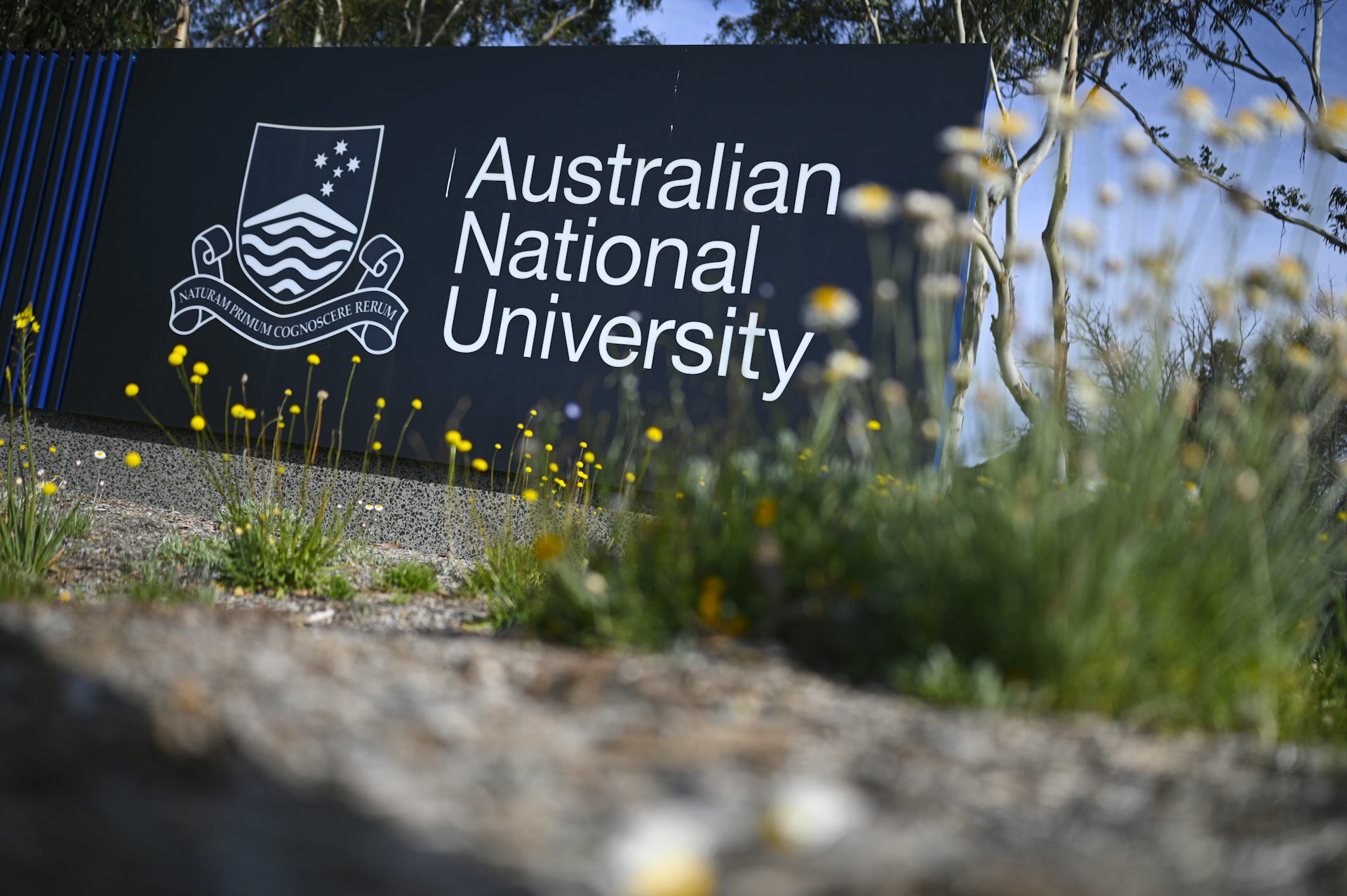 The ANU was set up to be a ‘national asset’. Here are 3 ways it can ...