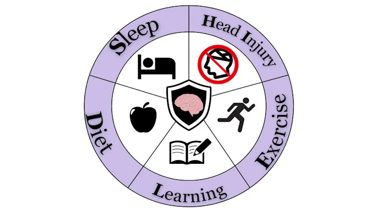 Diagram of SHIELD dementia factors