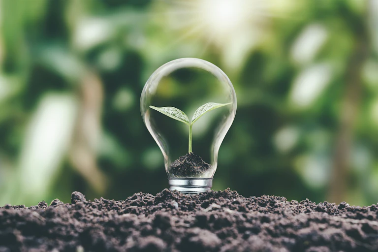 Seedling growing out of soil into a lightbulb.