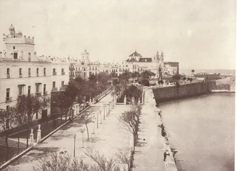 Fotografía de un paseo arbolado al lado del malecón.