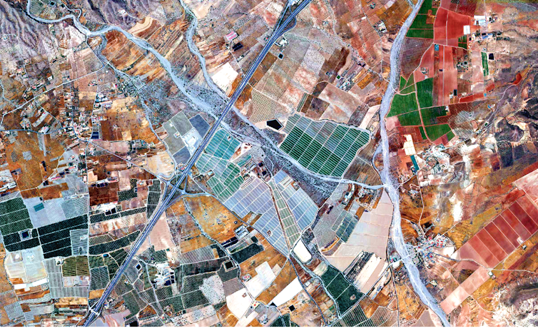 Imagen aérea que muestra numerosos campos de cultivo