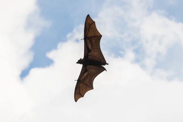 A flying fix in the sky