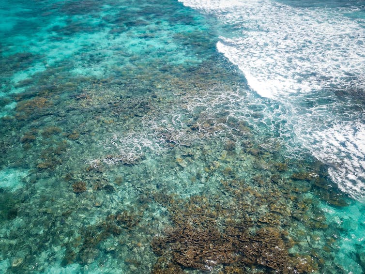 turquoise ocean, waves breaking, brown coral reefs visible underwater
