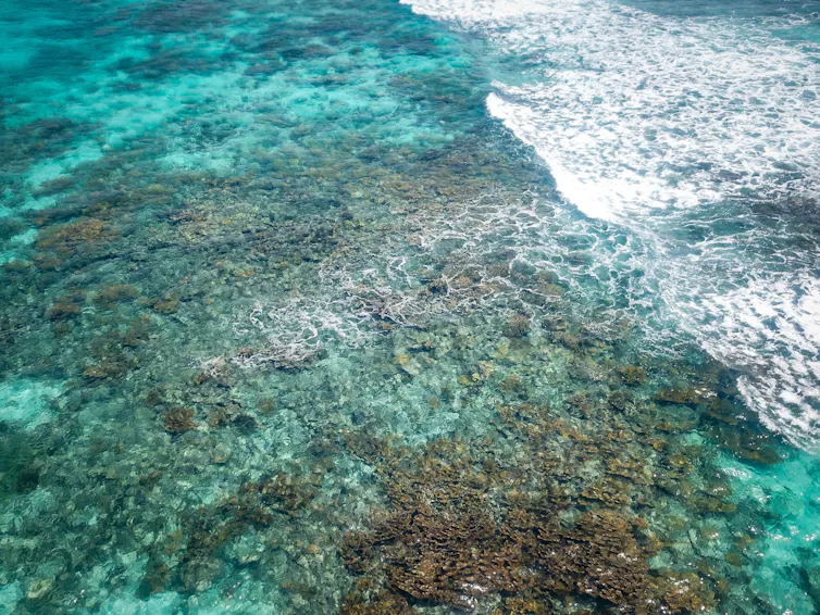 turquoise ocean, waves breaking, brown coral reefs visible underwater
