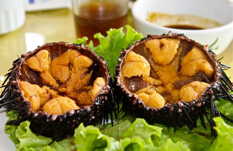 An urchin split open on a dinner plate with uni inside