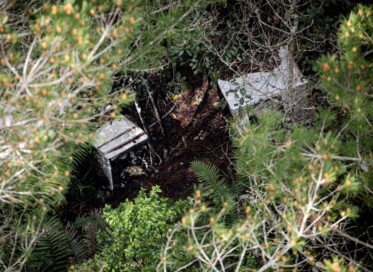 An aerial view of one of the campsites where Tom Phillips and his children had been hiding for the last four years.