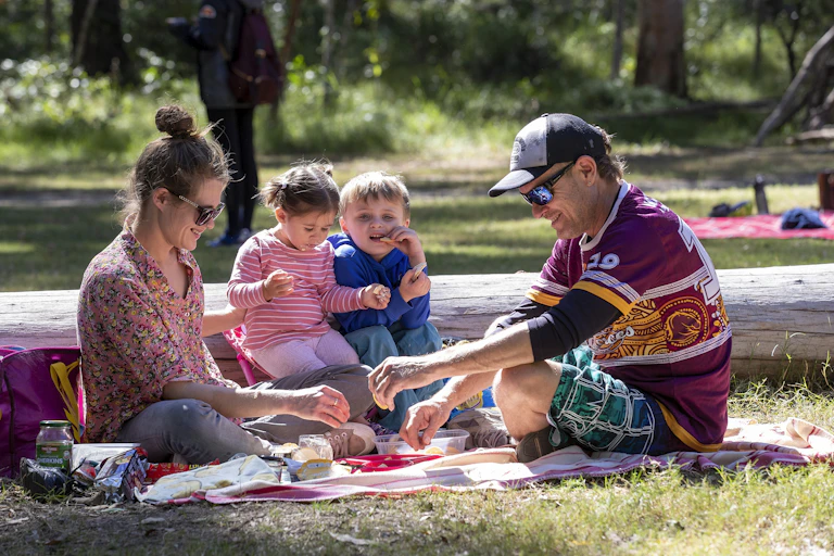 A family enjoys a picnic at Daisy Hill Forest Park in Brisbane