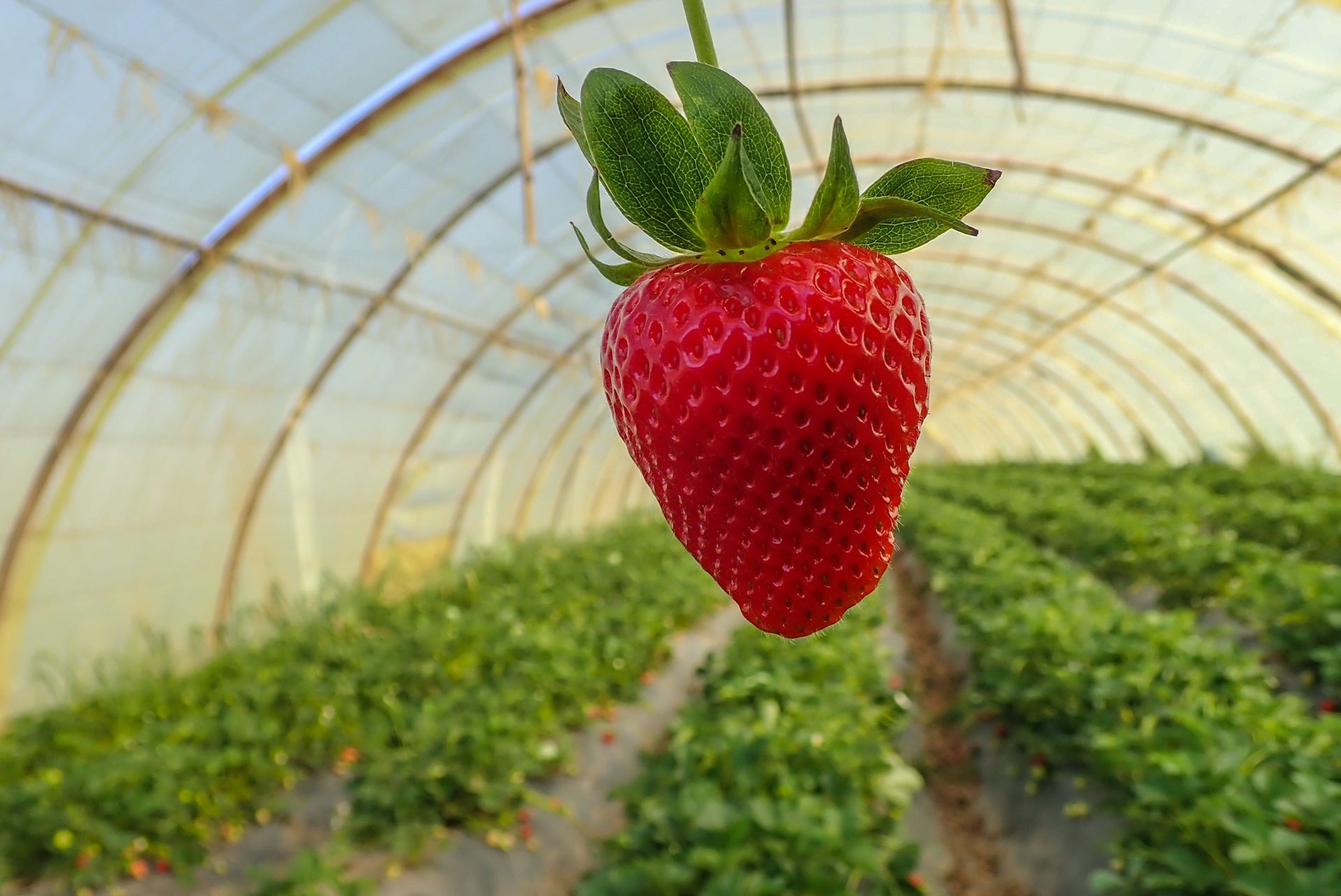 file 20250915 64 pk3eqr.jpg?ixlib=rb 4.1