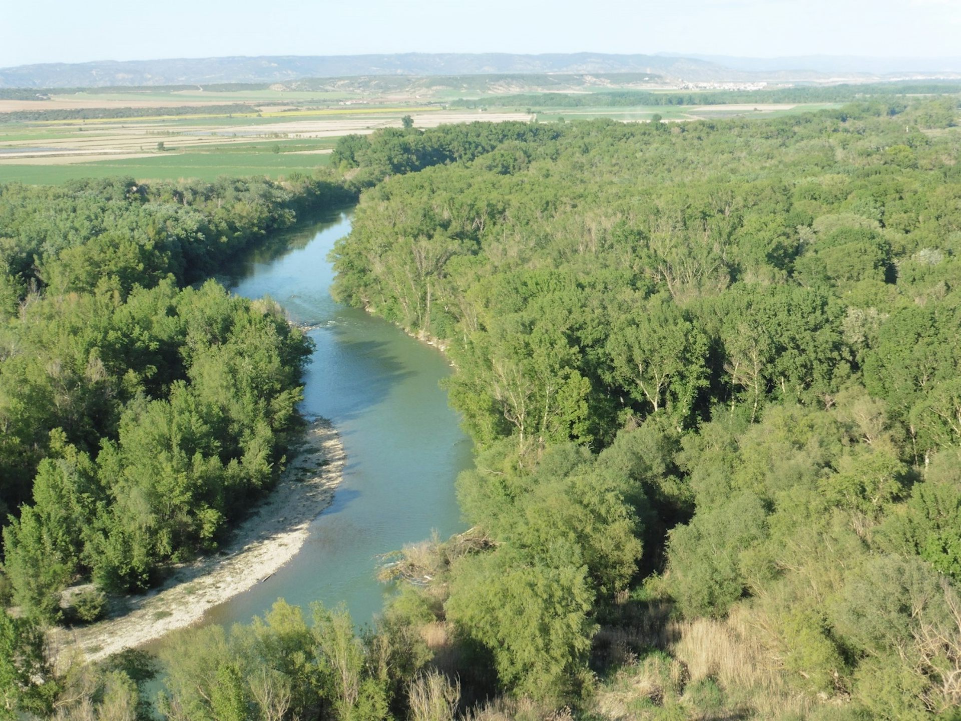 file 20250915 56 sufc59.jpeg?ixlib=rb 4.1