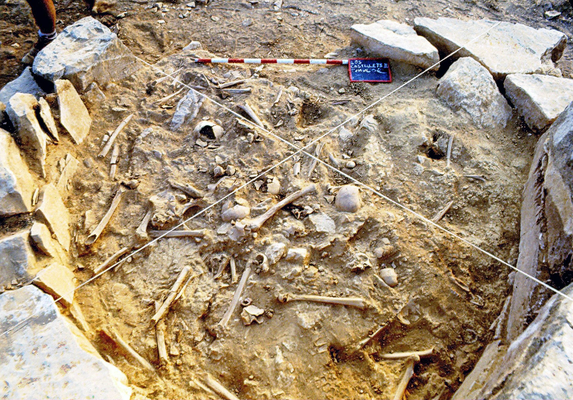 La familia unida siempre permanece unida… hace 3 000 años, también