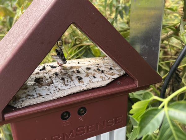 This image has been removed. For security reasons, only images from the local domain are allowed. Image removed.