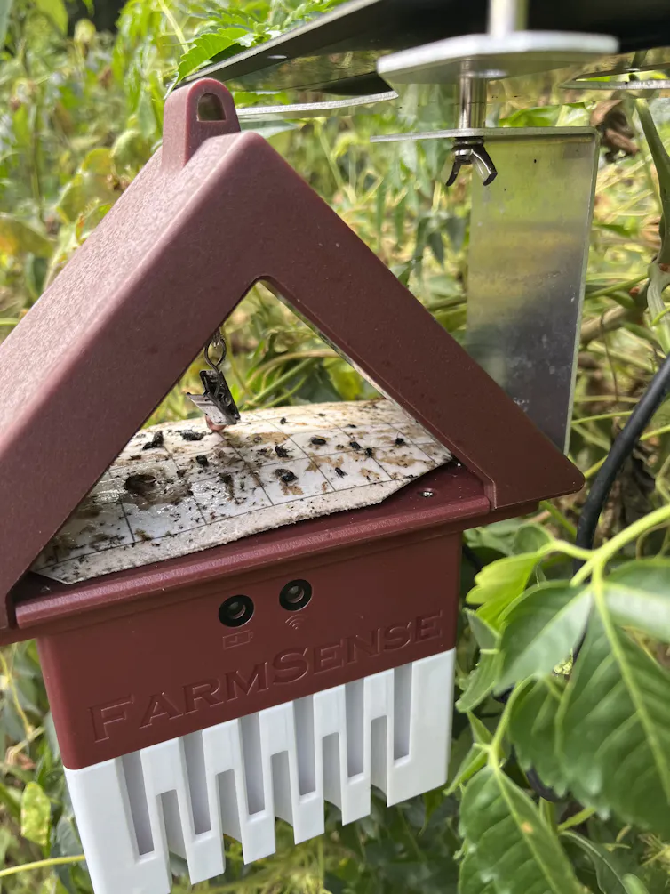a triangular open-sided structure