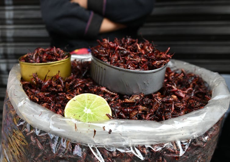 A basket of toasted bugs with half of a lime sitting atop the pile.