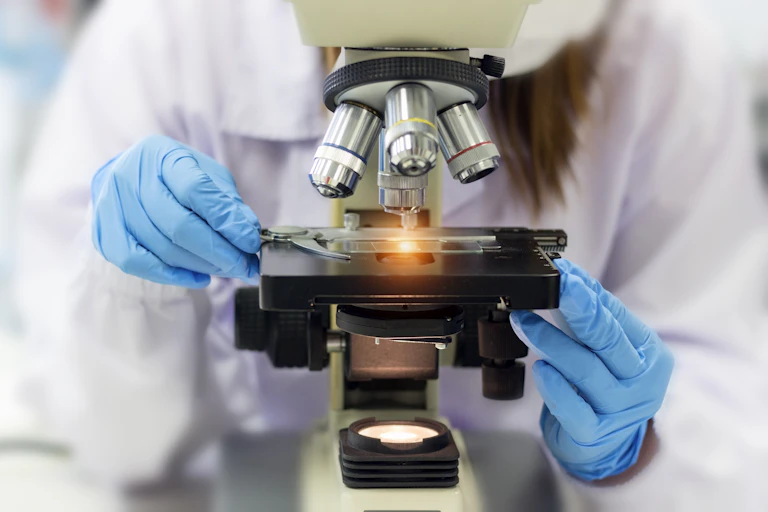 Des mains gantées de bleu tenant une lame sous un microscope de laboratoire