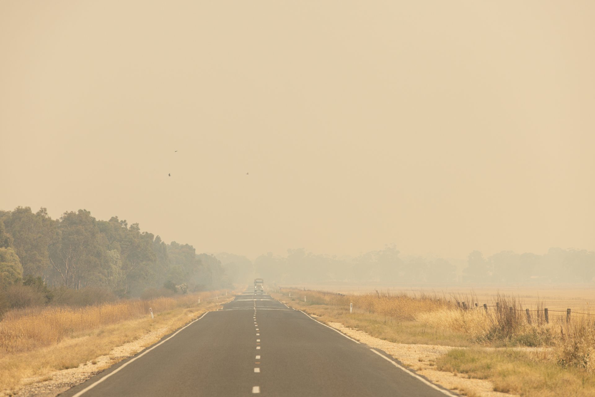 Tony Wood on ‘politics trumping climate policy’ and the hard road ahead