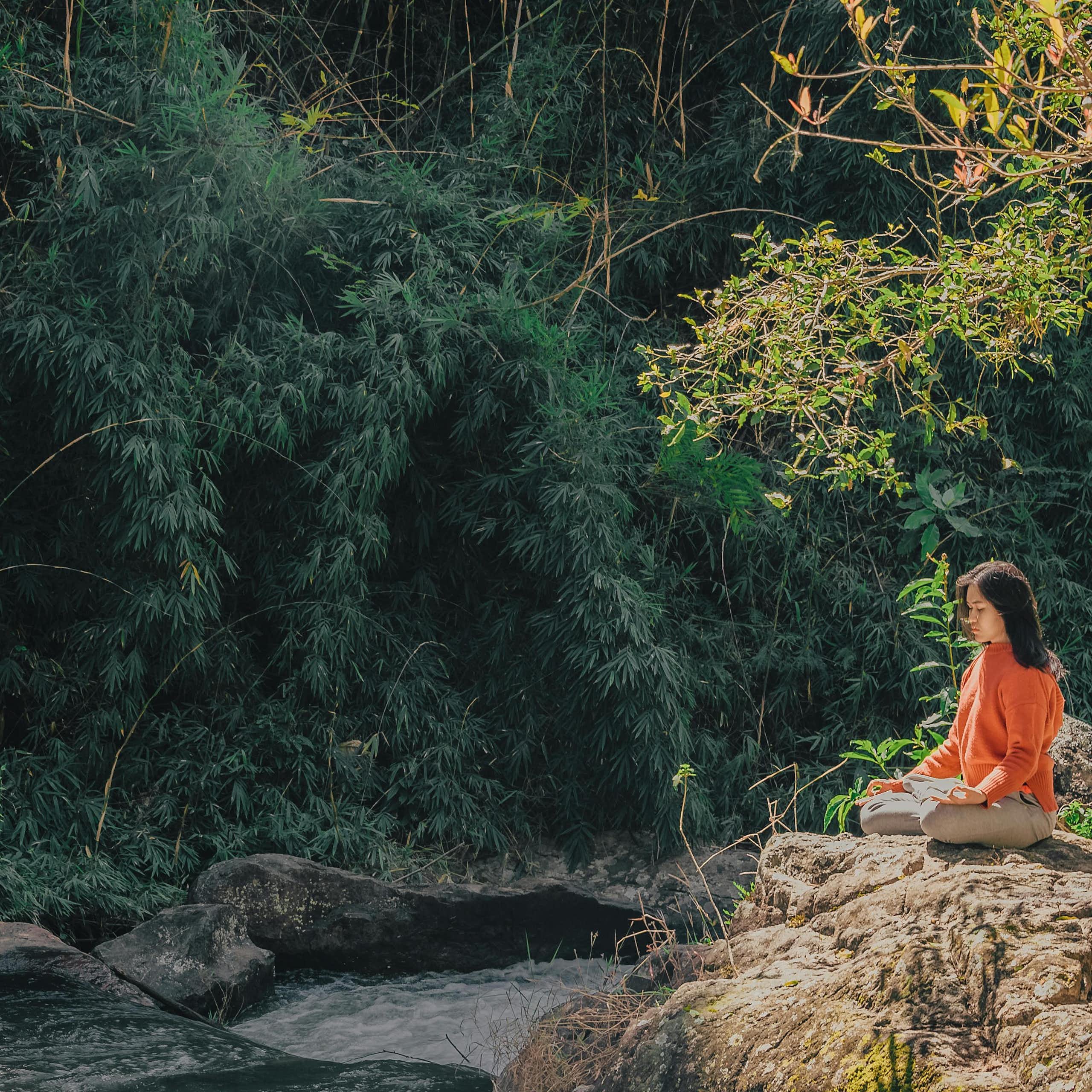 Développement personnel : pourquoi faudrait-il « se ressourcer » ?
